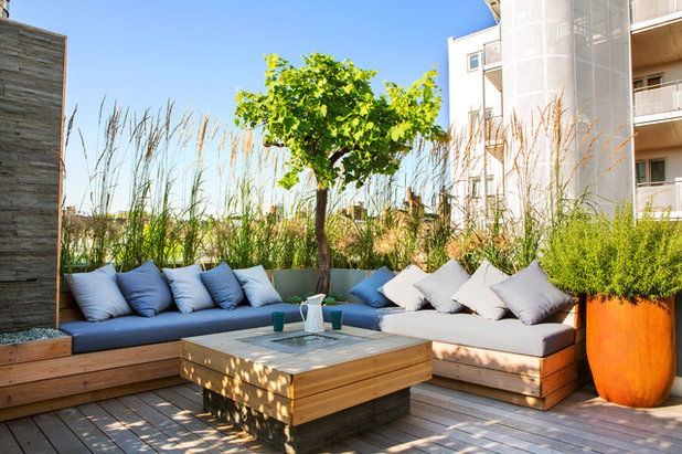 Modern Terrasse by Town and Country Gardens