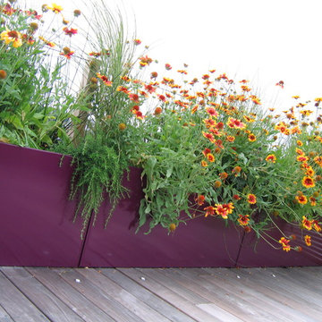 Roof Top Batchelor Pad in Nottinghill, London