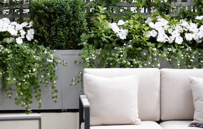 8 Trellis Ideas to Give You Garden Envy