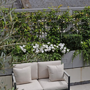 Traditional Trellis - Making Smaller Spaces Work