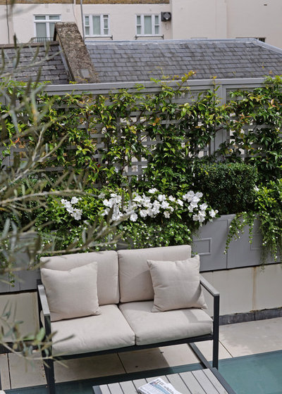 Traditional Terrace by The Garden Trellis Company