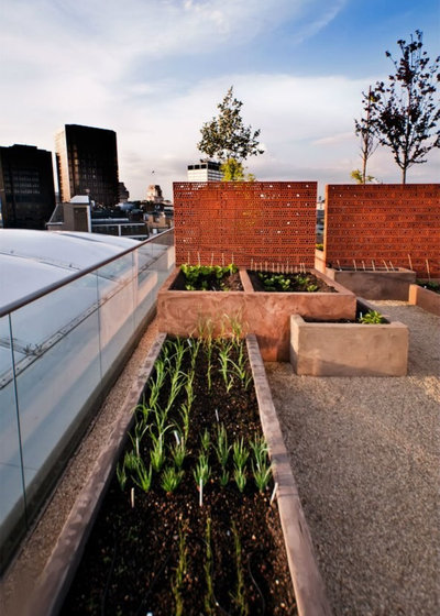 Moderno Terrazza by Urban Roof Gardens