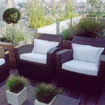 Wapping Penthouse Terrace over looking The Thames River