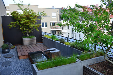 This is an example of a small contemporary roof terrace in Frankfurt with a potted garden and no cover.