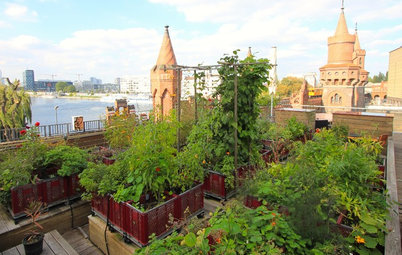 Gartenbesuch: Urban Gardening mit Blick auf die Berliner Oberbaumbrücke