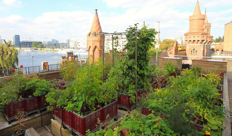 Gartenbesuch: Urban Gardening mit Blick auf die Berliner Oberbaumbrücke