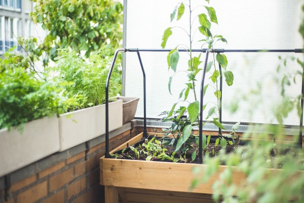 Eklektisch Terrasse by Claudia Vallentin Fotografie