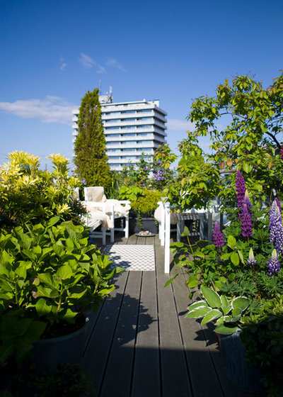 Moderne Terrasse by Altan Alferne