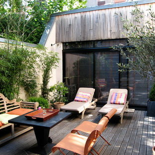 Cette photo montre une terrasse avec des plantes en pots tendance de taille moyenne.