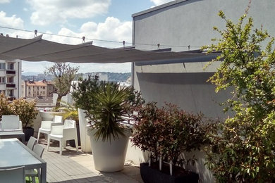 Cette photo montre une terrasse tendance avec une cour.