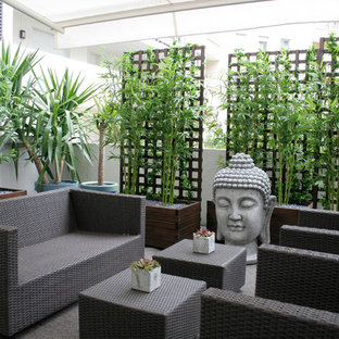 Foto di un patio o portico etnico dietro casa e di medie dimensioni con un giardino in vaso e un parasole