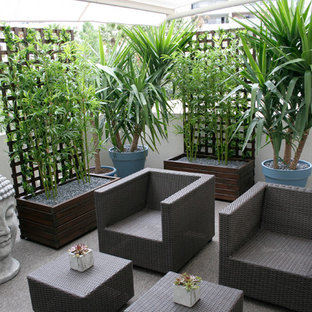 Ispirazione per un patio o portico etnico dietro casa e di medie dimensioni con un giardino in vaso e un parasole