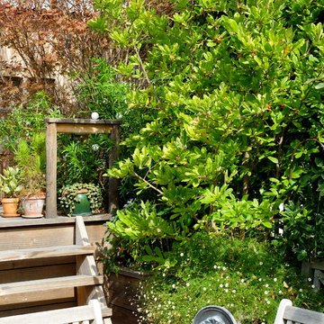 Aménagement paysager d'une terrasse à Paris...