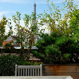 Immagine di un grande patio o portico stile shabby con un giardino in vaso e una pergola