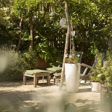 Aménagement paysager d'une terrasse à Paris...