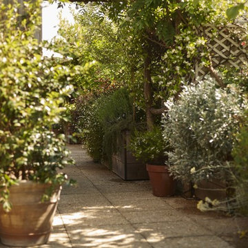 Aménagement paysager d'une terrasse à Paris...