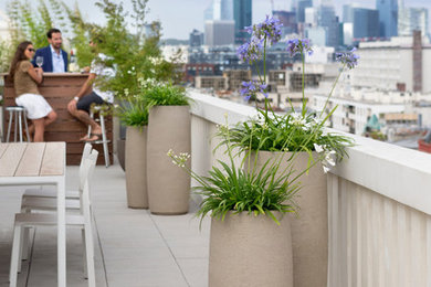 Réalisation d'une terrasse arrière design avec une dalle de béton et aucune couverture.