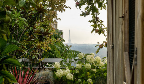 Paris: Lad forårets by inspirere din altan eller terrasse
