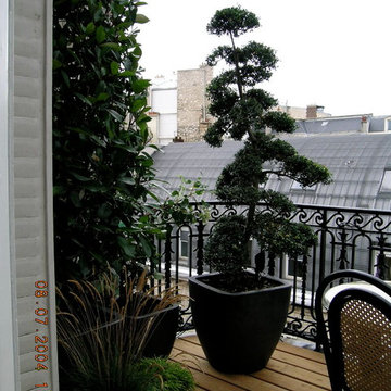 Balcon parisien