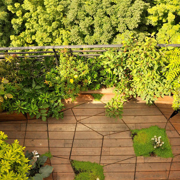 Création d’une terrasse « en mouvement » et mur végétalisé
