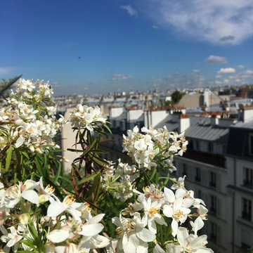 Du balcon à la terrasse - Bastille