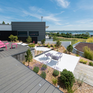 Réalisation d'un toit terrasse sur le toit design de taille moyenne avec aucune couverture.