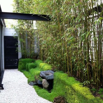 jardin de bambous