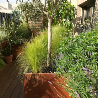 75+ Terrassen neben dem Haus mit Kübelpflanzen Ideen & Bilder - August