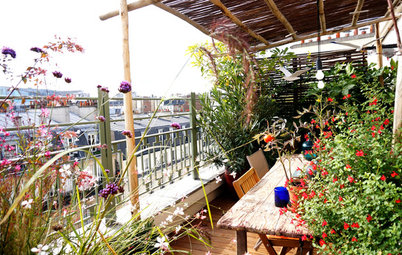 Avant/Après : Bouffée de verdure sur une terrasse au cœur de Paris