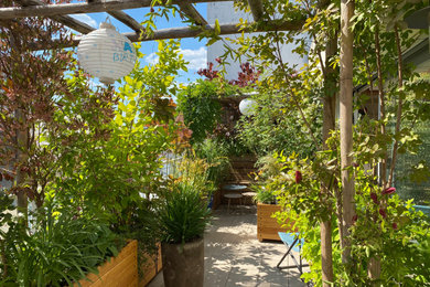 Réalisation d'une terrasse avec des plantes en pots latérale de taille moyenne avec une pergola.