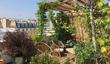 Avant/Après : Un toit-terrasse de 80 m² avec vue sur Montmartre