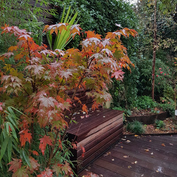 le patio zen et la végétation luxuriante en automne
