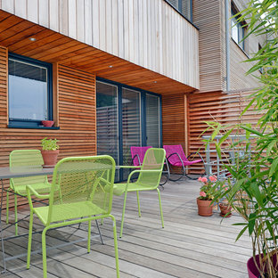 Exemple d'une terrasse avec des plantes en pots arrière tendance de taille moyenne avec aucune couverture.