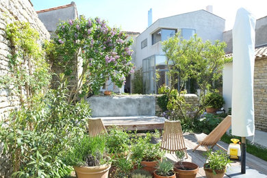 Idée de décoration pour une terrasse avec des plantes en pots arrière méditerranéenne avec aucune couverture.