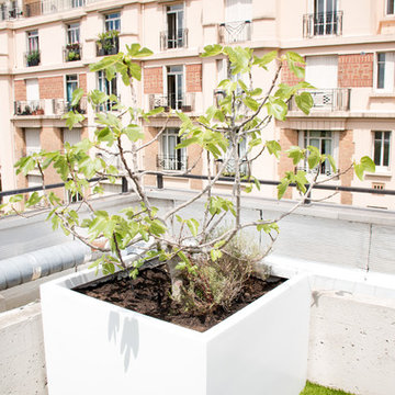 Modernité végétale à Neuilly-sur-Seine