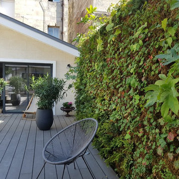 Mur végétal pour une maison d'hôtes Bordelaise