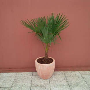 Ispirazione per un patio o portico bohémian