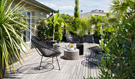 Dschungel-Look auf dem Balkon: Ein Indoor-Trend will nach draußen