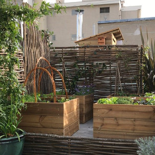 Große, Unbedeckte Landhaus Dachterrasse mit Kübelpflanzen in Paris