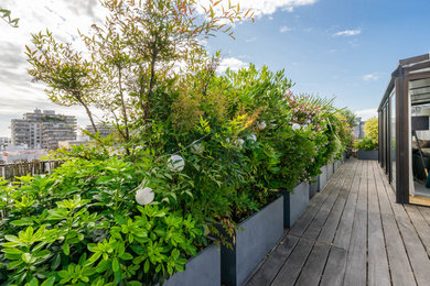 Imagen de terraza contemporánea grande sin cubierta en azotea con jardín de macetas y barandilla de madera