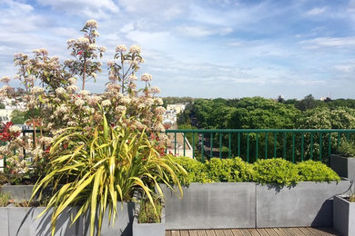 Idées déco pour une terrasse moderne de taille moyenne avec aucune couverture.