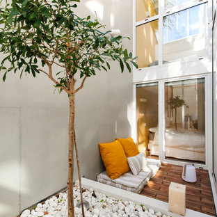 Cette photo montre une terrasse avec des plantes en pots scandinave avec aucune couverture.
