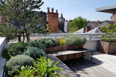 Cette image montre une terrasse avec des plantes en pots avec une pergola.
