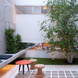 Aménagement d'une terrasse contemporaine de taille moyenne avec une cour, une terrasse en bois et aucune couverture.