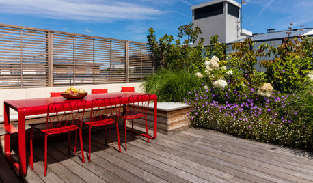 Avant/Après : Une terrasse foisonnante en région parisienne