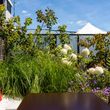 une terrasse foisonnante!