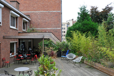 Cette image montre une terrasse avec des plantes en pots arrière design de taille moyenne avec aucune couverture.