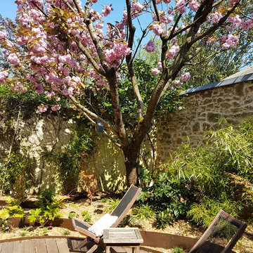 vue du patio et sur le cerisier du japon en fleurs