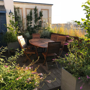 Exemple d'une terrasse sur le toit nature de taille moyenne avec une pergola.