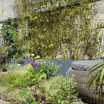 vue perspective sur le patio avec plantes grimpantes et jardinières